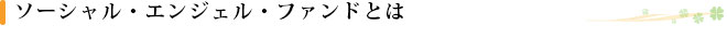 ソーシャルエンジェルファンドとは