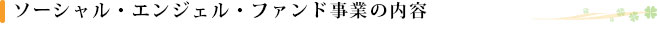 ソーシャルエンジェルファンド事業の内容